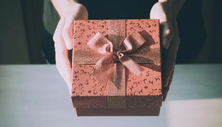 Moja ciotka namówiła babcię, żeby zapłaciła za „rodzinne wakacje” – a potem zostawiła ją w tanim motelu, podczas gdy sama żyła w luksusie, ale to my śmialiśmy się ostatni.