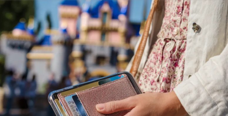 Moja ciotka zniknęła z moim dowodem i pieniędzmi w Disneylandzie — wymyśliłem idealną zemstę w drodze powrotnej pociągiem.