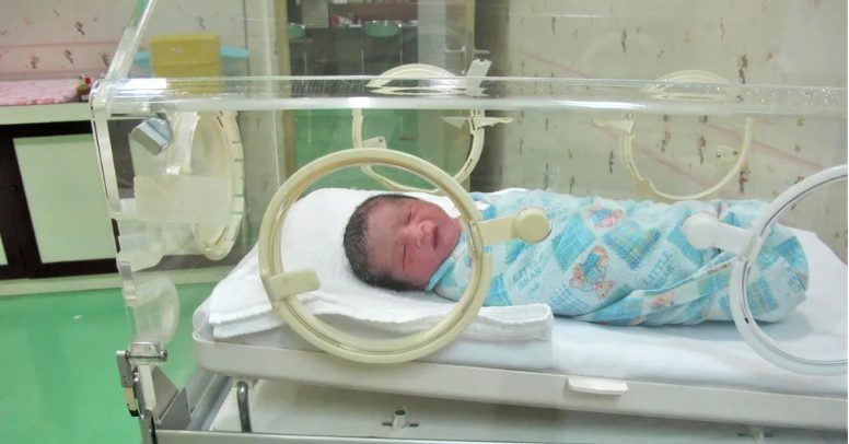 Lekarz wychowuje trojaczki po tym, jak matka umiera podczas porodu, a po 5 latach pojawia się ich biologiczny ojciec — historia dnia