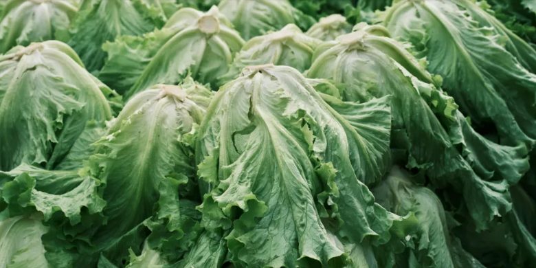 Mój mąż mówił, że od dwóch tygodni po pracy pomaga swojemu bratu naprawiać dach – potem spotkałam moją szwagierkę i usłyszałam szokującą prawdę.