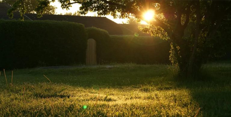 Moja przyszła szwagierka zniszczyła mój ogród na swoje wesele – mój prezent ślubny sprawił, że zaniemówiła.