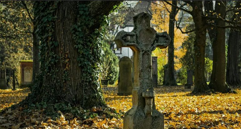 Opłakiwałem moją żonę przez 5 lat – pewnego dnia byłem oszołomiony, widząc te same kwiaty z jej grobu w wazonie w kuchni.