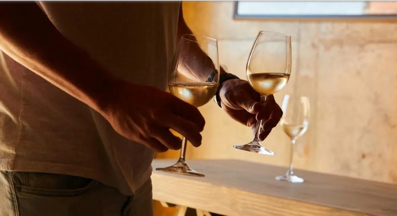 Mój mąż i jego matka wyrzucili mnie z restauracji w dniu naszego ślubu – wtedy usłyszałam za sobą głos: „Elizabeth? To ty?”