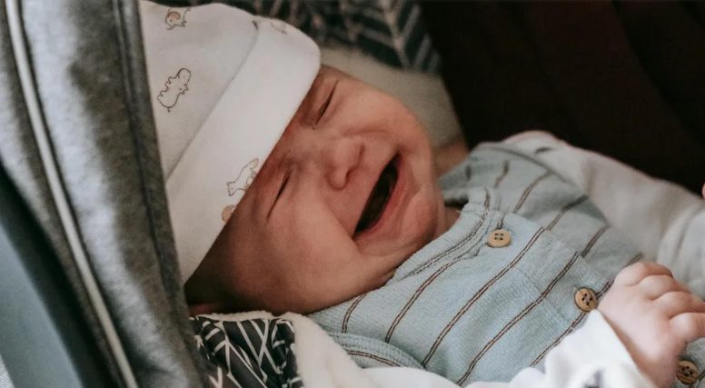 Wyrzucili mnie i moją małą wnuczkę z kawiarni w deszcz – wtedy wkroczyła sprawiedliwość.