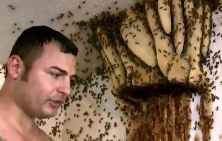 Po tym, jak mój mąż trafił do szpitala, mój 5-letni syn opowiedział mi o „nowej mamie” – to, co odkryłam, odebrało mi mowę